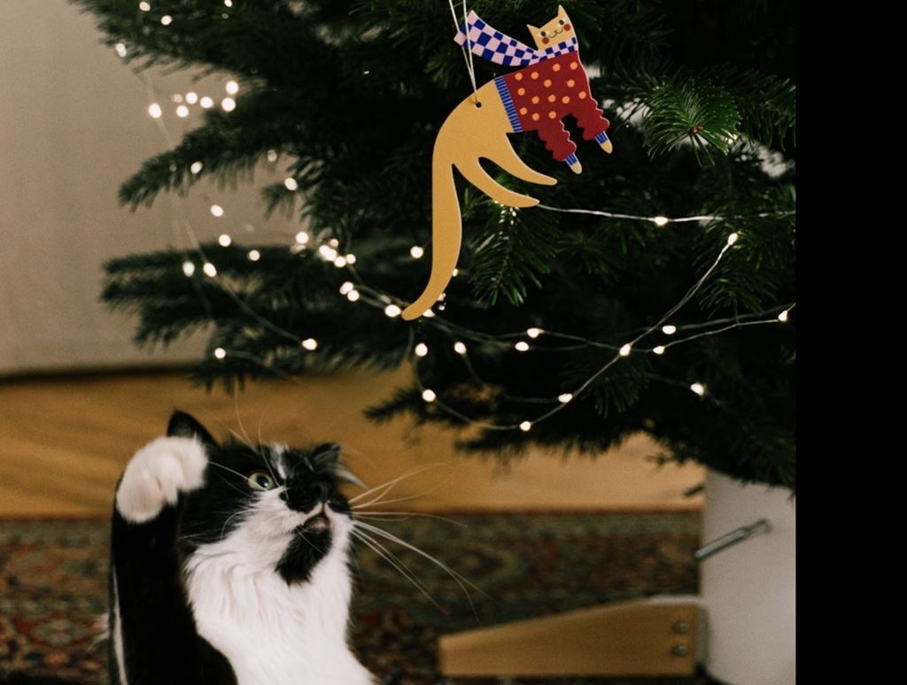 De gezelligheid van Kerstmis