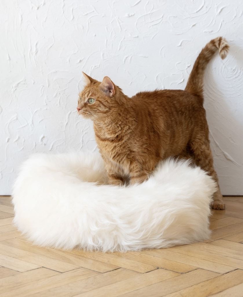 Enkel het beste is net goed genoeg