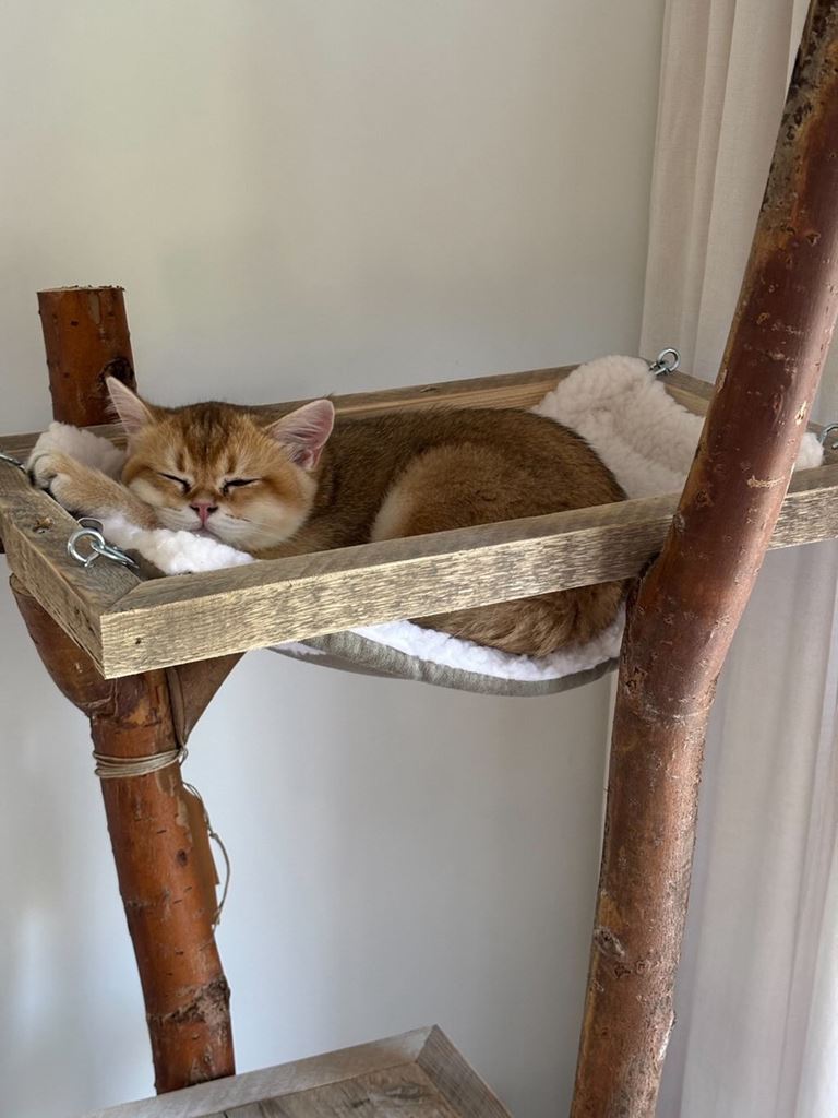 Hier vind je authentieke items 