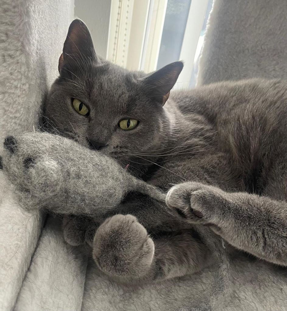 Met zorg handgemaakt 